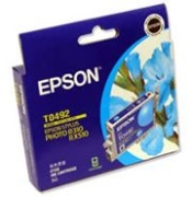 Epson T049290