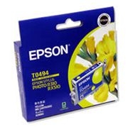 Epson T049490
