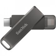 SanDisk SDIX70N-256G
