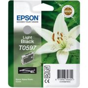 Epson C13T059790