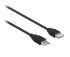 8WARE USB 2.0 Certified Extension A-A M-F Cable - 2m