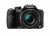 Panasonic DMC-FZ100-K Digital SLR Camera - 14.1MP Black3.0