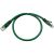 Microtech CAT 6 Network Patch Cable - RJ45-RJ45 - 1.5m, Green