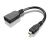 Lenovo 4X90G35035 Micro HDMI to HDMI Adapter - Black