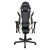 DXRacer RZ00 Racing Series Gaming Chair - Black/WhiteHigh Density Mould Shaping Foam, PU Leather, Sparco Style, Adj. Height, 135 Angle Adj., Ergonomic Design, Neck/Lumbar Support, Tilt Lock