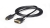 Startech DisplayPort to DVI Cable - 6ft (1.8m)
