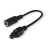 Teltonika PR2PD01B power cable Black 0.1 m 4-pin, 5.5x2.1 mm - 4-pin, 3 mm pitch