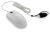 Seal_Shield Silver Storm STWM042P Mouse - PS/2 - Optical - 2 Button(s) - White - Cable - 800 dpi - Scroll Wheel
