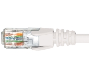 HyperTec HCAT6WH1