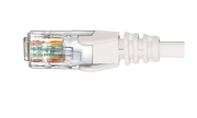 HyperTec HCAT6WH5