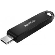 SanDisk FUSSAN256GCZ460