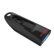 SanDisk FUSSAN256GCZ48U31