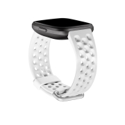 Fitbit BDVER2-SP-W-S(FB171SBWTS)