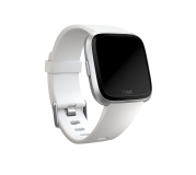 Fitbit BDVER-C-W-L(FB166ABWTL)