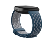 Fitbit FB174SBNVGYS