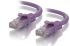 Alogic C5-02-Purple CAT5e Snagless Patch Cable - 2m, RJ45-RJ45 - Purple