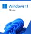 Microsoft Windows 11 Home FPP 32 / 64-bit English USB Flash Drive - Retail