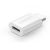 UGreen USB 3.1 Type-C to Micro USB Adapter - White