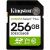 Kingston SDS3/256GB